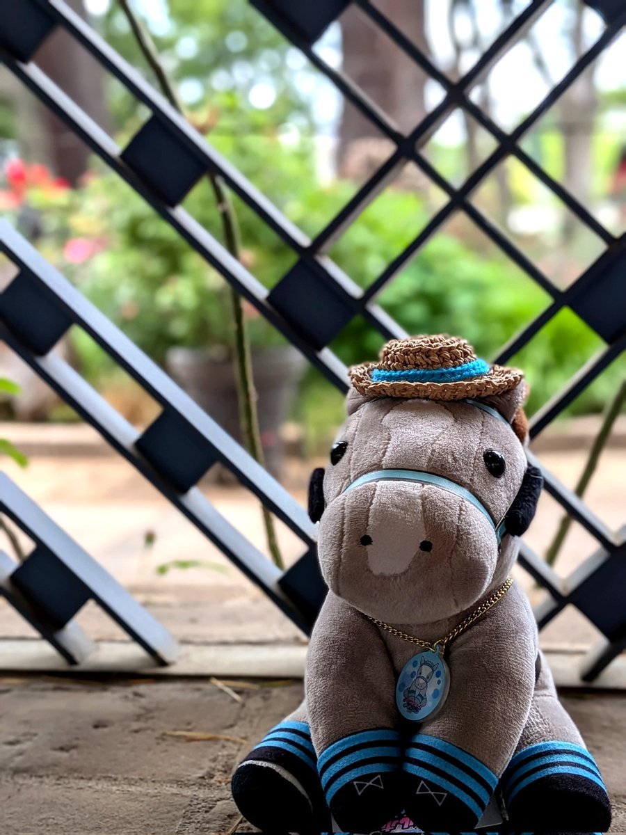 ゆいちー🐴✨ tweet media