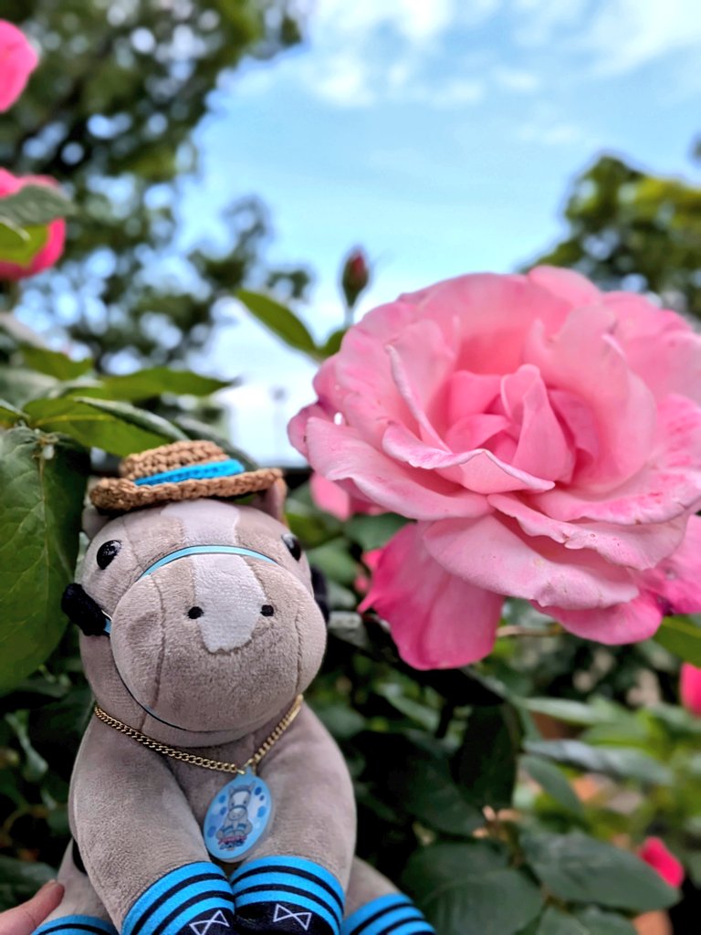 ゆいちー🐴✨ tweet media