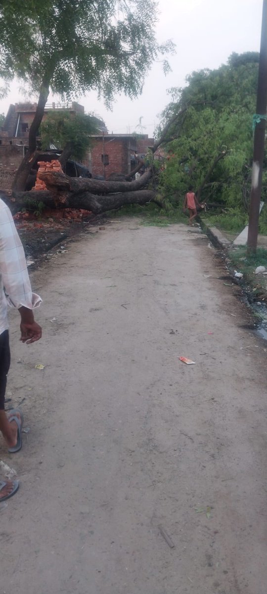 arjunsingh_52's tweet photo. सेवा में, मध्यांचल विद्युत वितरण निगम लिमिटेड @MVVNLHQ
​निवेदन है कि हमारे क्षेत्र में देर रात अंधी आने से बिजली के कई खंभे गिर गये हैं और बिजली की सप्लाई भी रुकी हुई है। कृपया जल्द से जल्द संज्ञान लेकर इसे ठीक करवाएं।
​धन्यवाद। 
#ElectricityComplaint #UPPCL #MadhyanchalVidyut https://t.co/1HynPxbv2Y