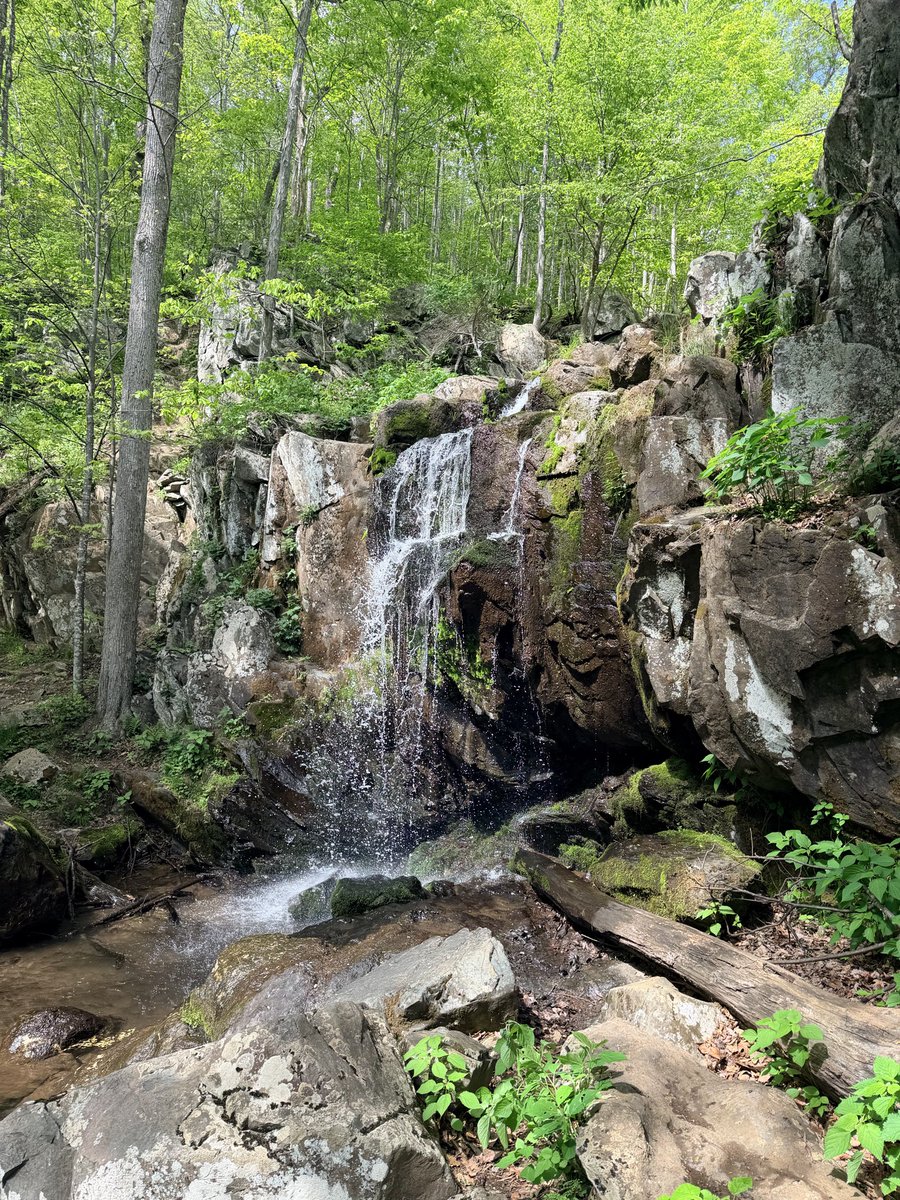 JessicaWriston's tweet photo. Shenandoah National Park https://t.co/3QmbEzVLY1