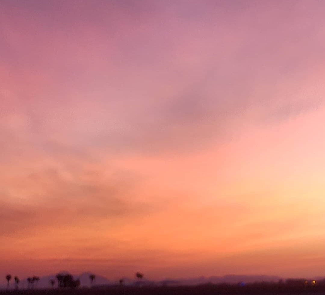 UnicornFarmgirl's tweet image. Some days feel clear.
Some feel scattered.

Usually that’s my signal to slow down and reset.

Not start over—
just get grounded again 🤍

#Clarity #Reset