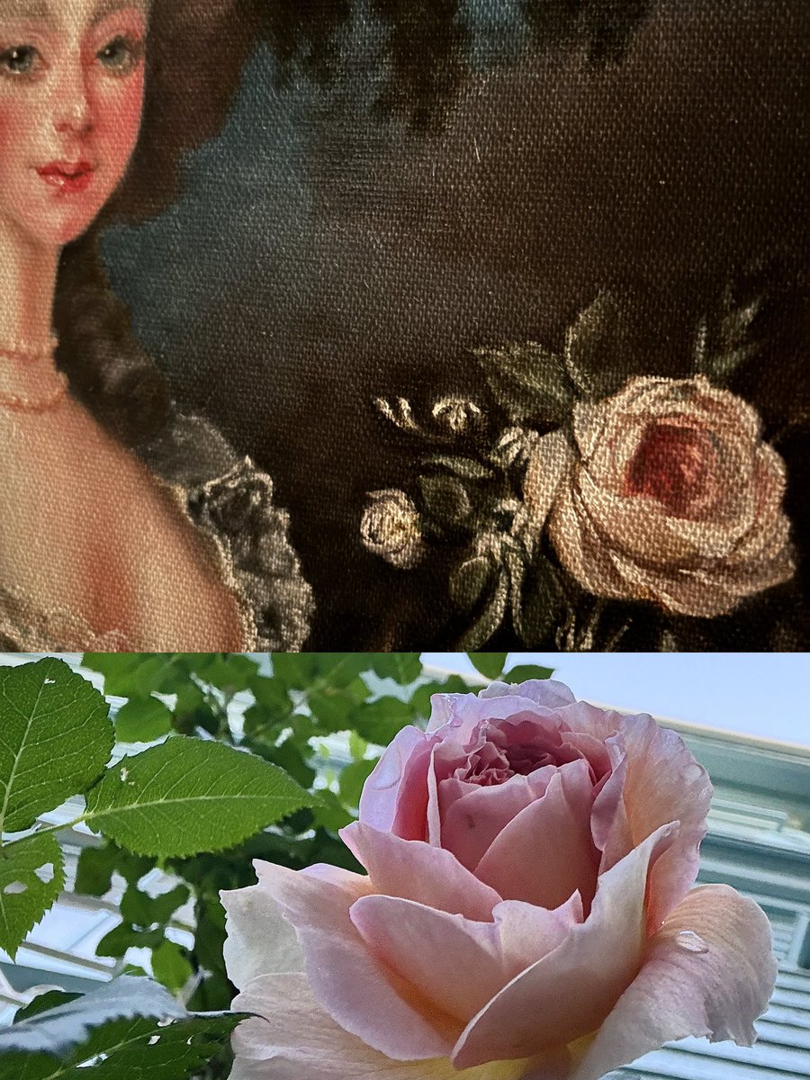 今回展示している油絵4点は、公開の季節にあわせて、薔薇をモチーフに
