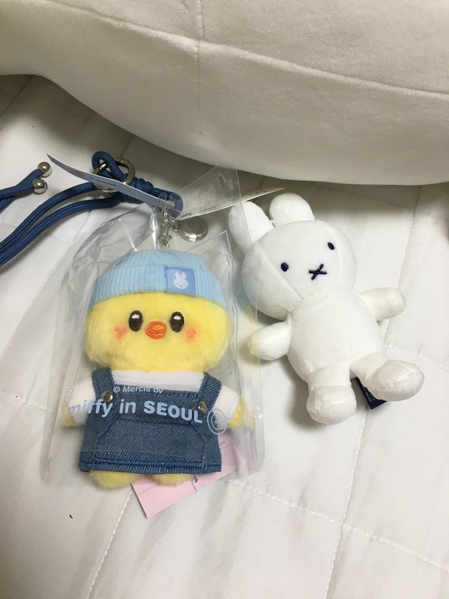 아뽁 tweet media