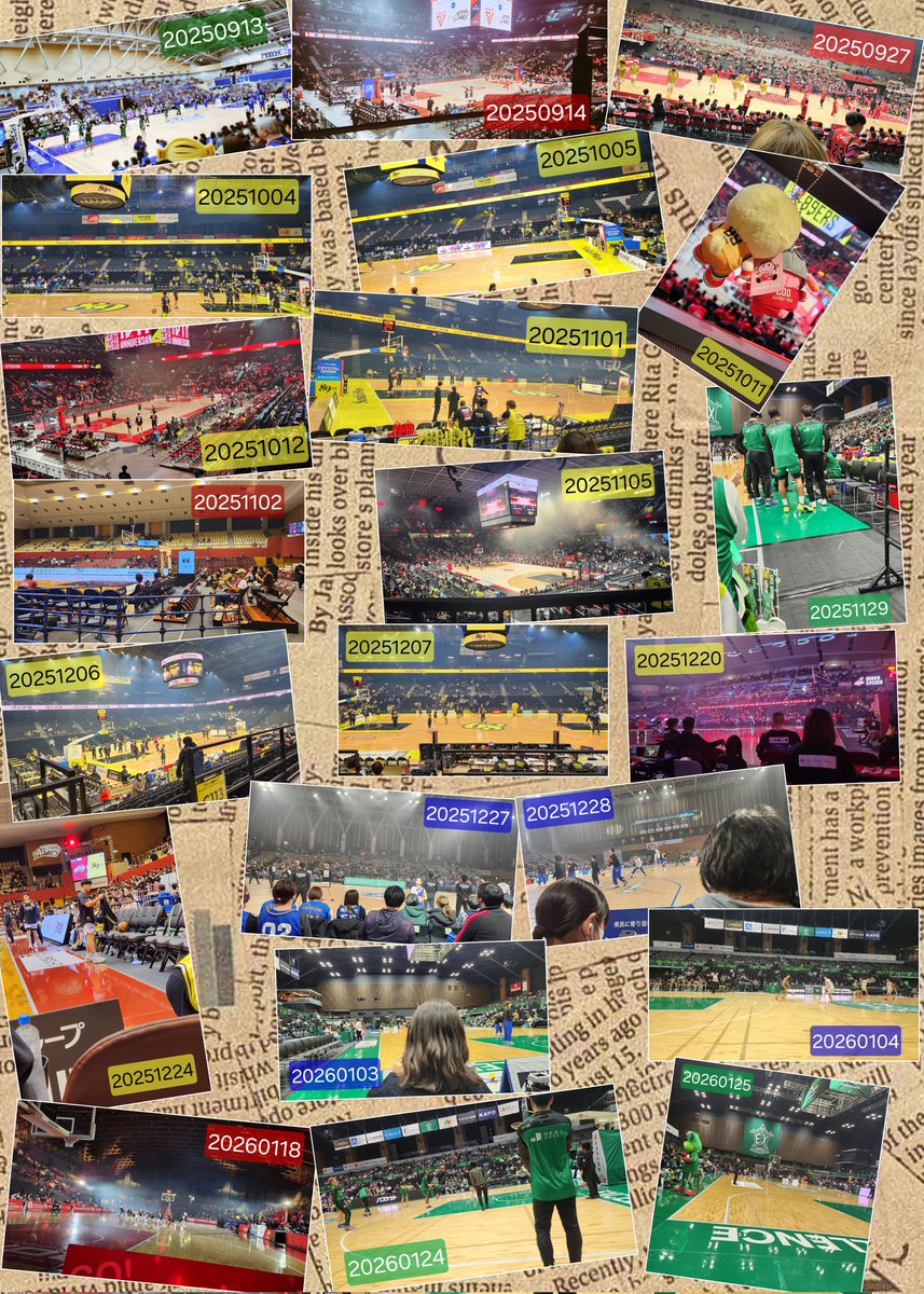 藺々🏀りんりん tweet media
