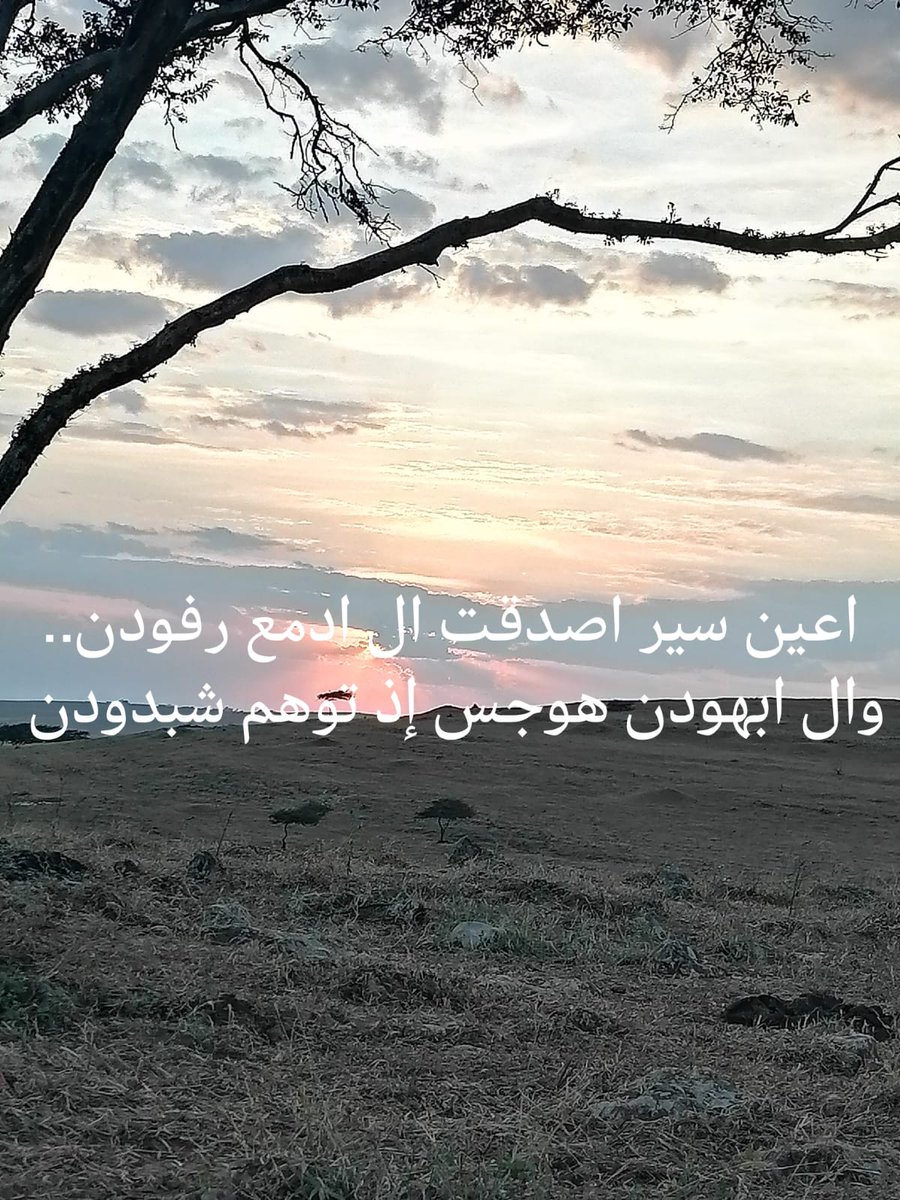 AljnwbGhyth's tweet photo. خاطره تدل دربها https://t.co/Ec4Ydvx3MB