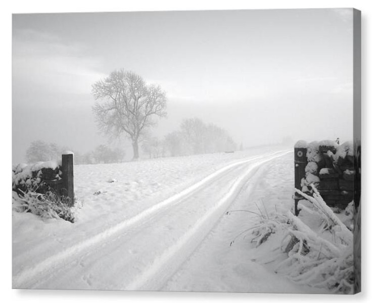 JustinFarrimond's tweet image. Snow Track - Canvas Print

justin-farrimond.pixels.com/featured/snow-…

A snow covered track fades into the freezing mist.

#PhotoOfTheDay #BlackAndWhite #Photography #Canvas #Art #Print #Winter #Snow #InteriorDesign