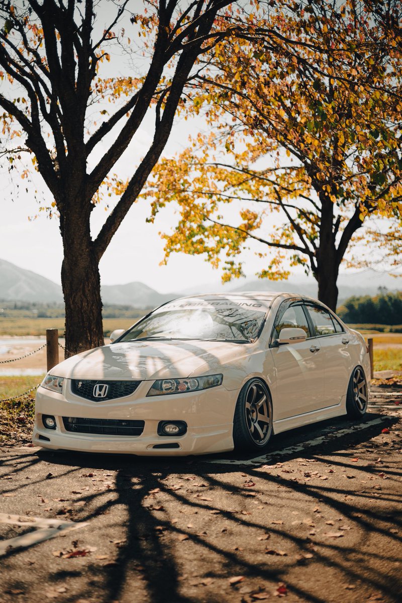 sr6_marry's tweet photo. https://t.co/N7LtedqLrh