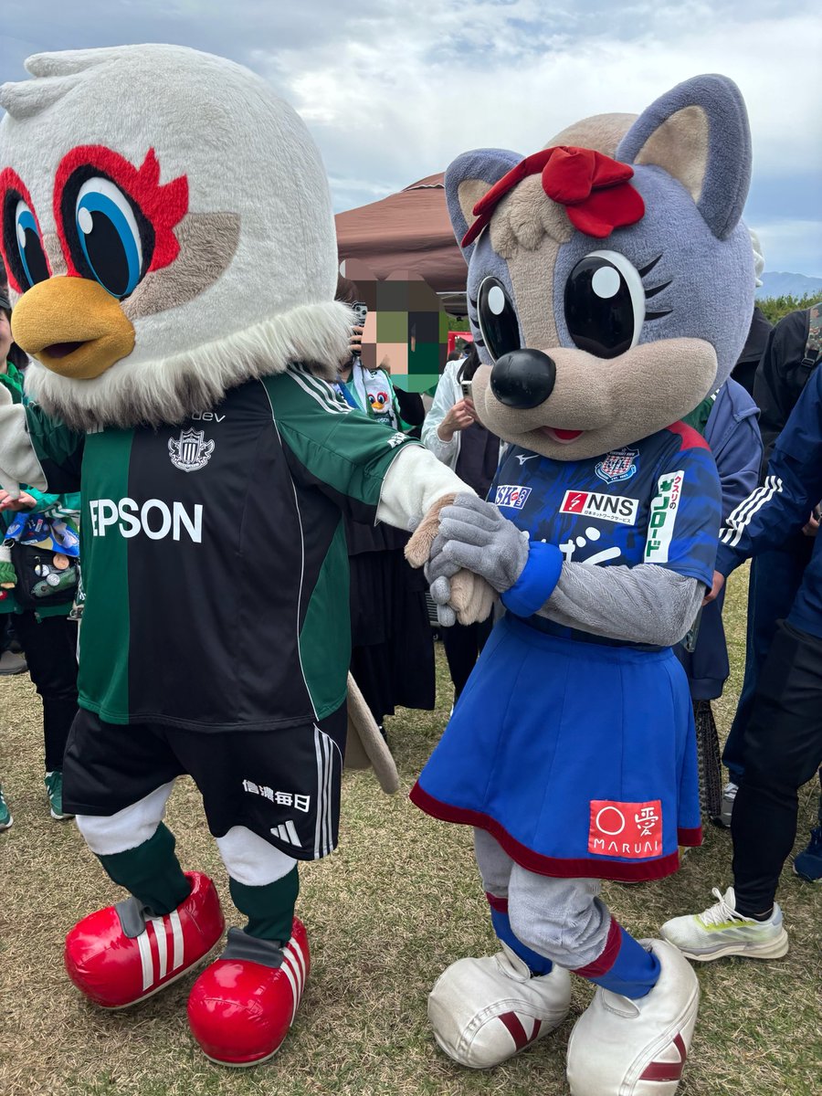 tomo ⭐️💙❤️🐰 tweet media