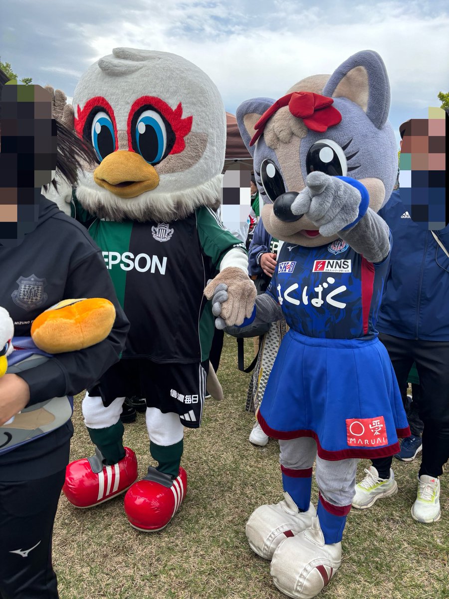tomo ⭐️💙❤️🐰 tweet media