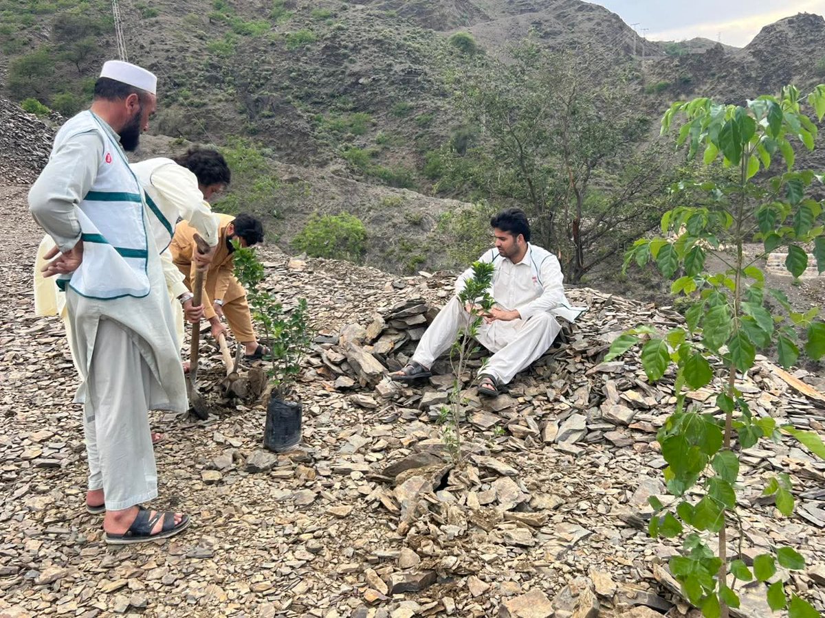 BachaKhan Green Foundation tweet media