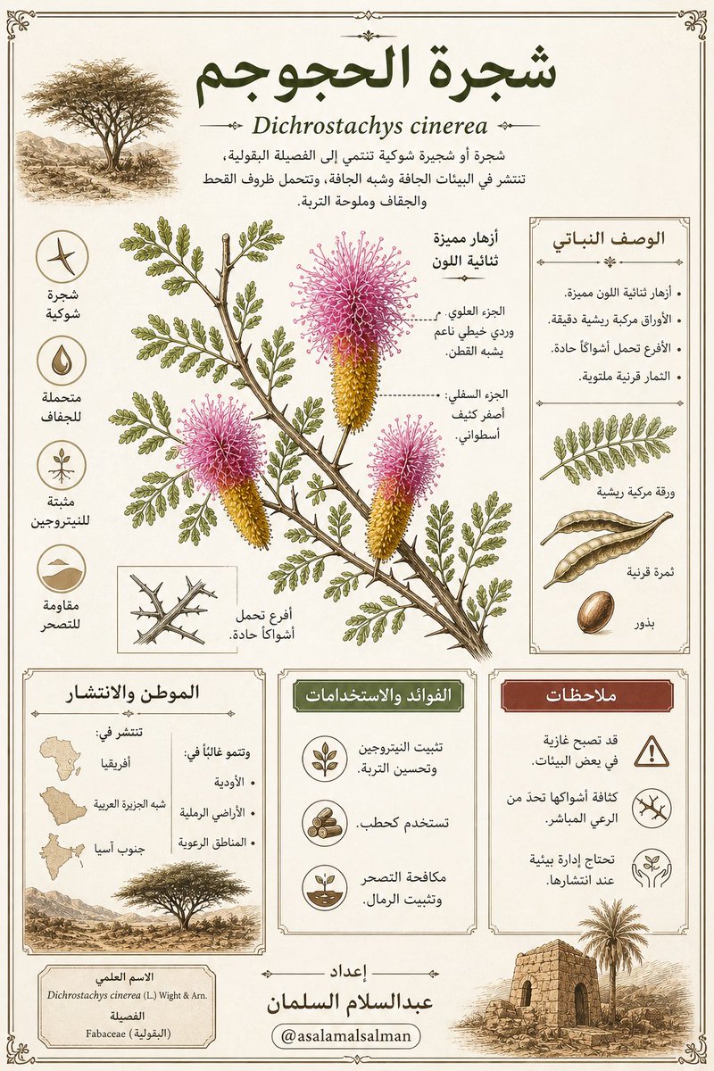 عبدالسلام السلمان tweet media