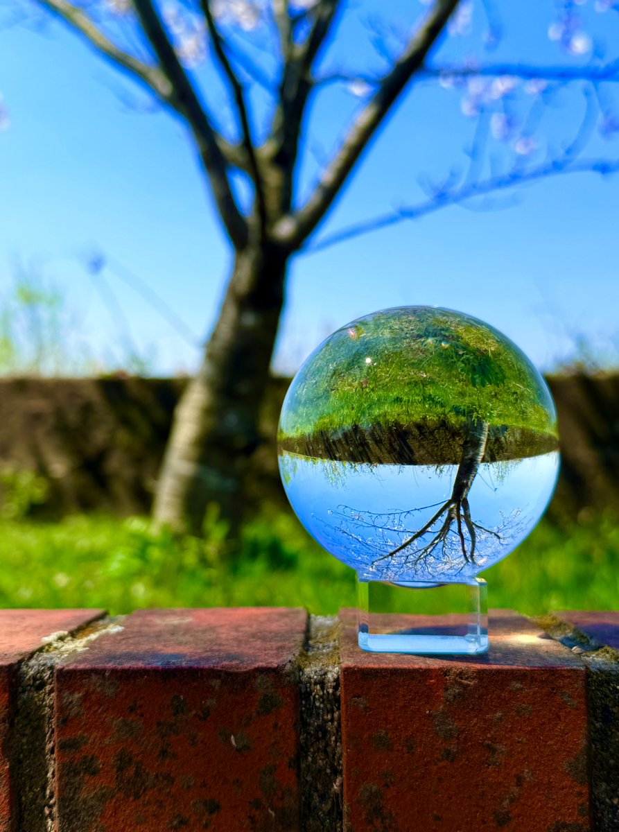 pppptyun's tweet photo. 逆さまのセカイ。 https://t.co/9tdDY5SwHm