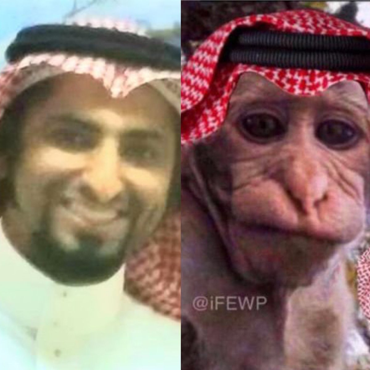 تعوسي tweet media