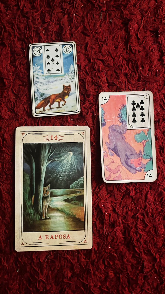 cartas do mar 💃✨️🐈‍⬛ $7 tweet media