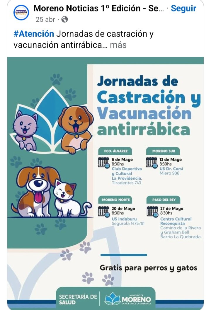 protegealanimal's tweet photo. MORENO
#MORENO #FCOÁLVAREZ #LAQUEBRADA #PASODELREY #MORENOSUR #MORENONORTE #ZONAOESTE #BSAS #CONURBANO
Zoonosis: Concordia 1721, Paso del Rey. Lu. a vi. de 8 a 16 hs y sáb. de 9 a 13.
Consultas/turnos: comunicarse al 0237 466-9251 INT. 2185 o x mail a zoonosis-moreno@hotmail.com https://t.co/fsHt3gNjPc
