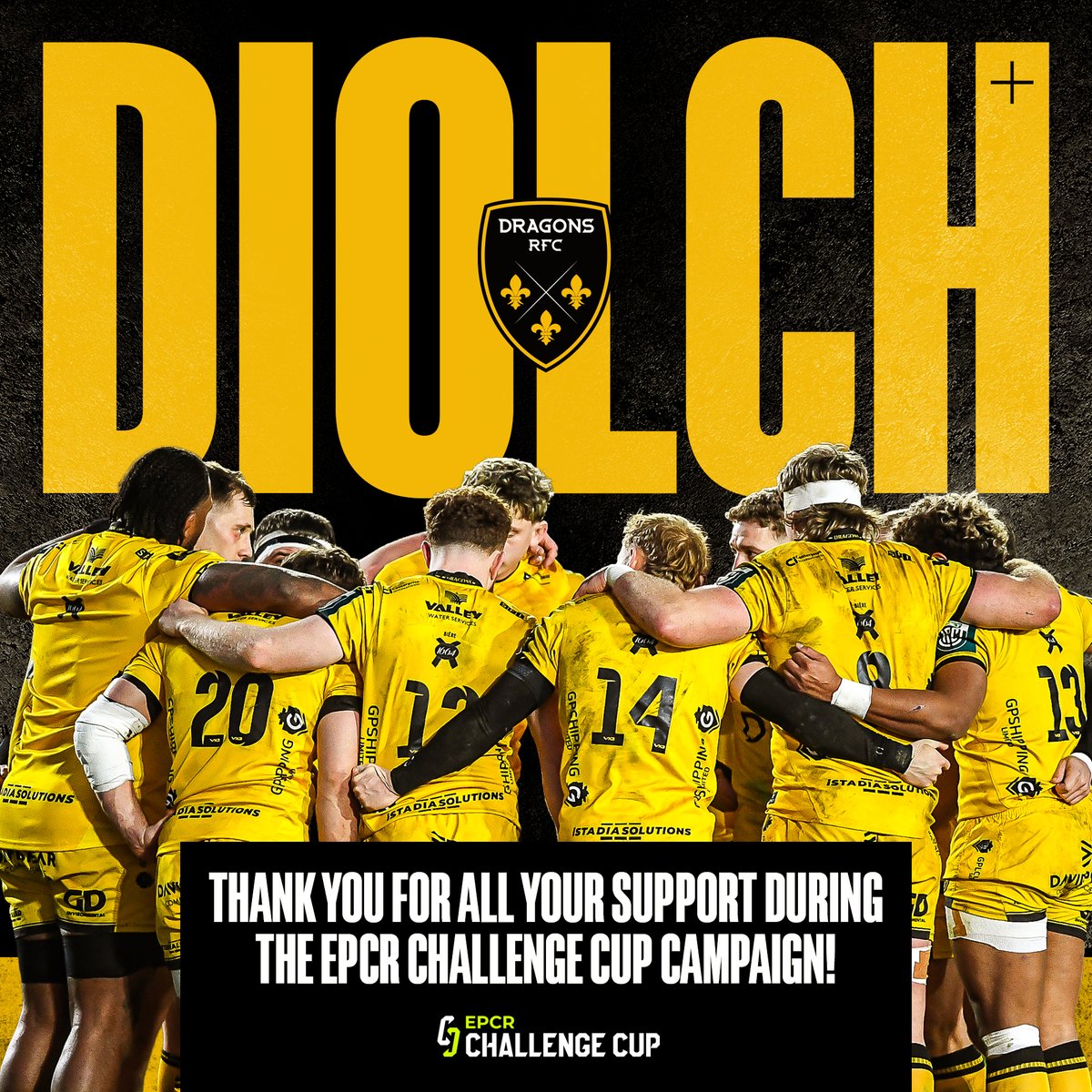 Dragons RFC 🐉 tweet media