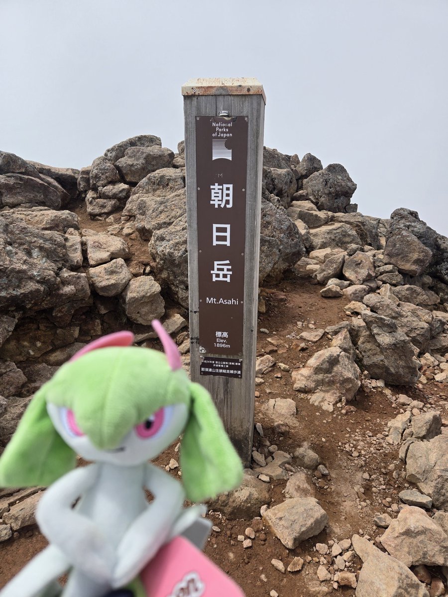 ウマキ tweet media