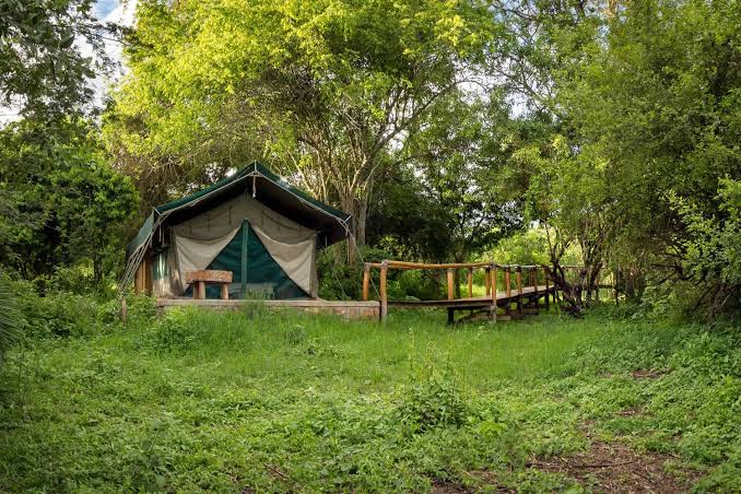 ExplorerRwanda's tweet image. Boat ride… wildlife… sunset… campfire. 🌅🔥

This is what you will enjoy in Akagera National Park.
Peaceful moments, beautiful views, and real adventure.

👉 Message us on WhatsApp to book today
📲 +250 787 620 114
🌐greenexplorerrwanda.com
#VisitRwanda