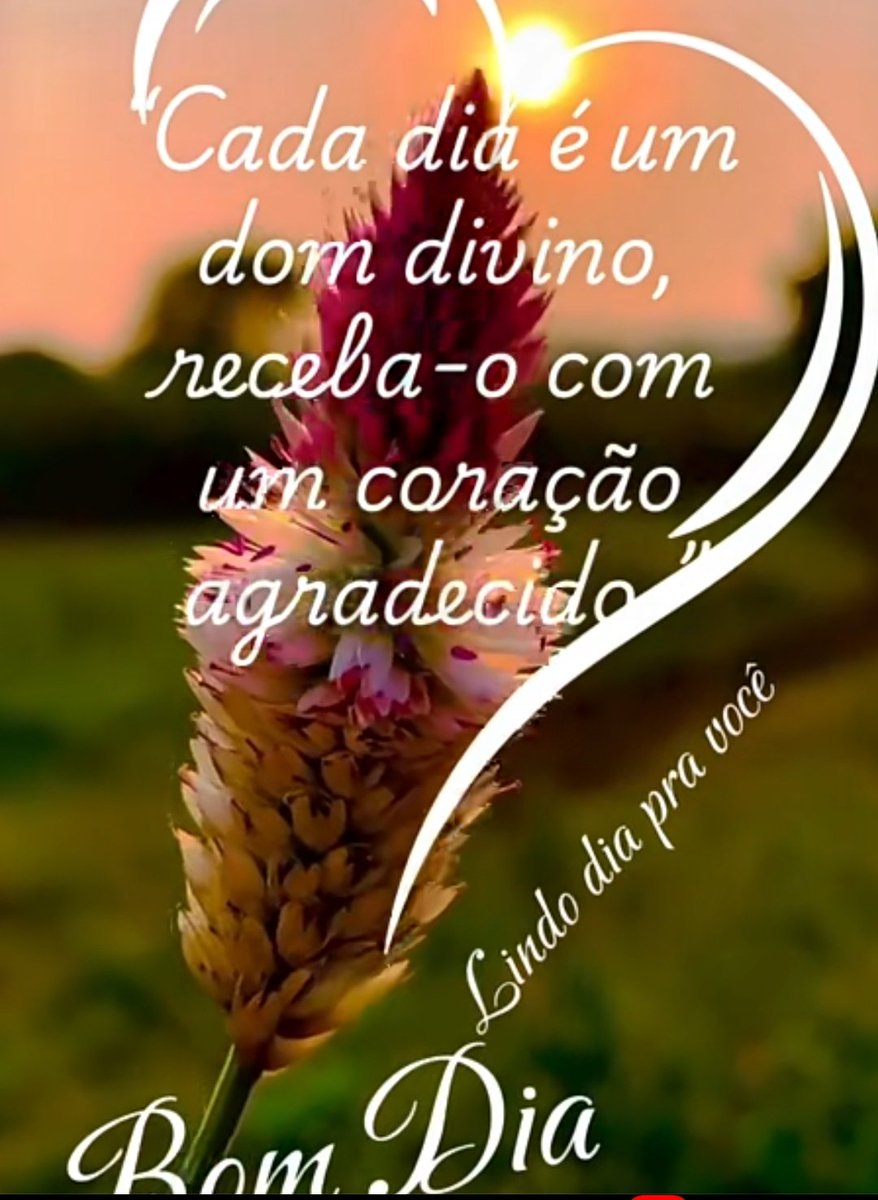 Brasil Livre tweet media