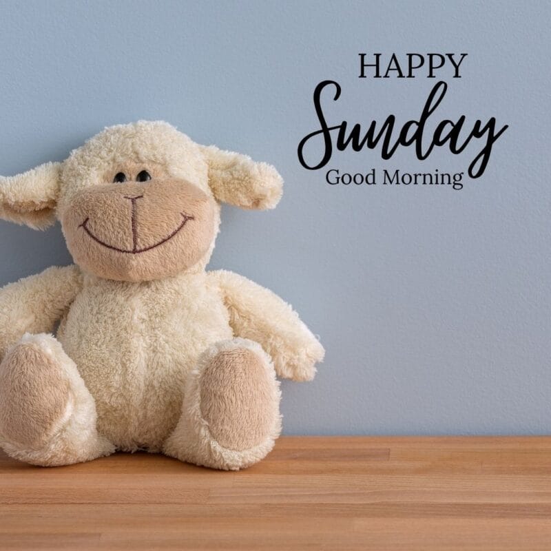 AmyCPhotos's tweet image. Good Morning  ☕️  🌞  😊 
Have a Blessed Sunday 🙏  🙌 
#Sunday #Blessings