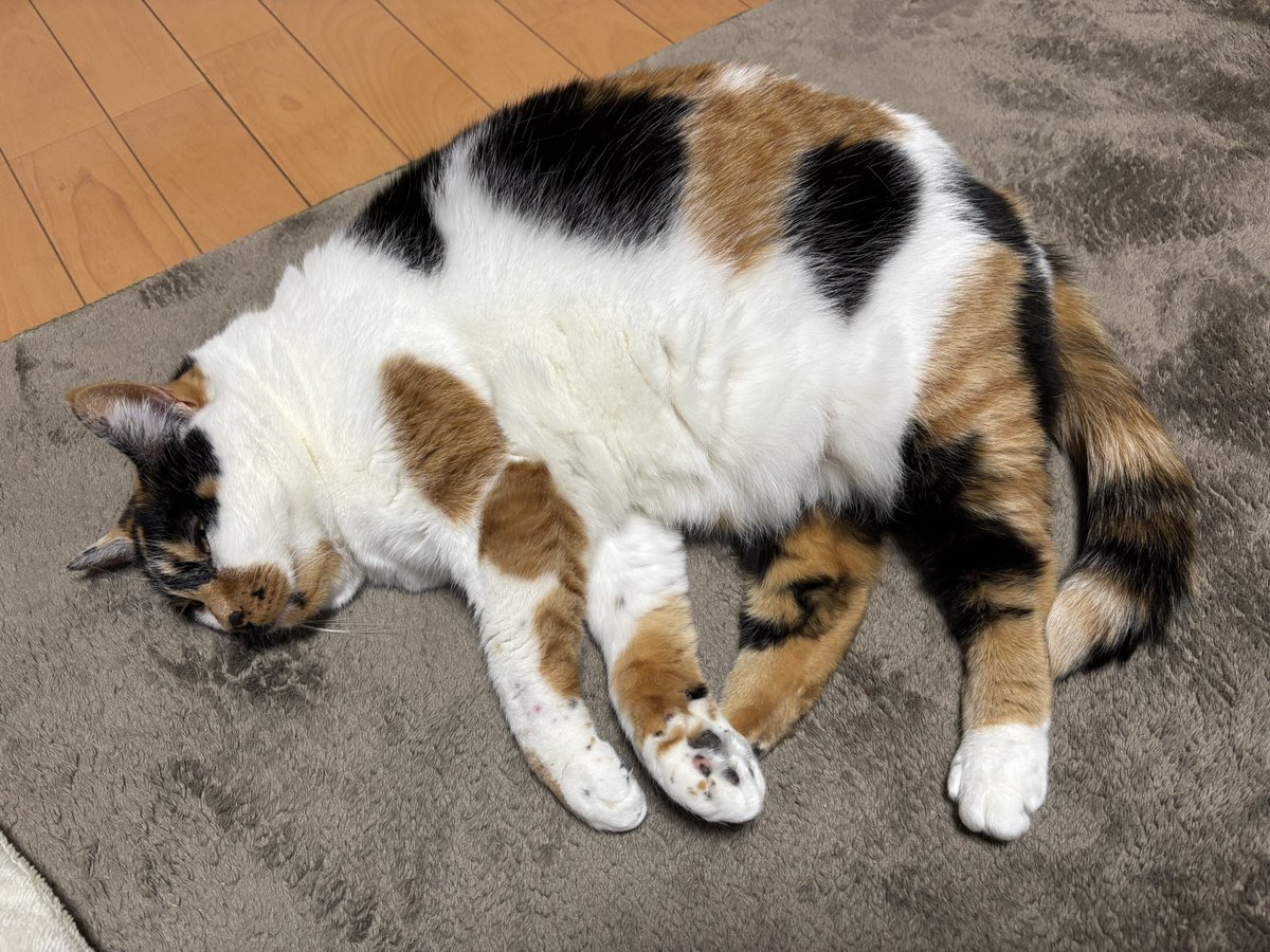 可愛い🩷食べたくなる！