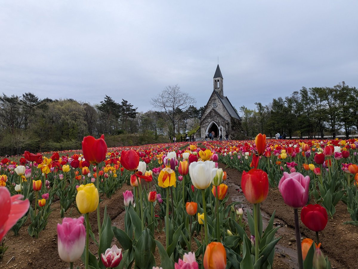 ありあり💐 tweet media