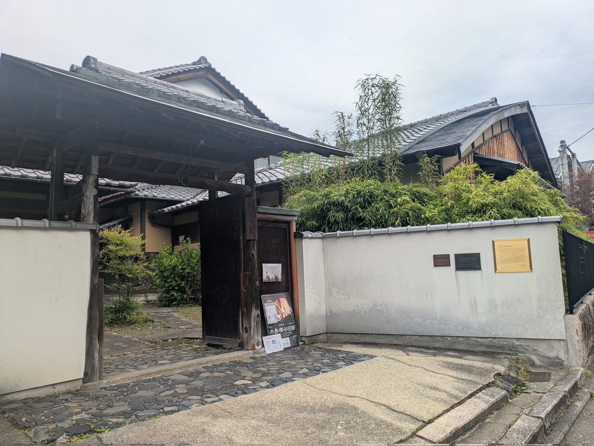 東原ちさと tweet media