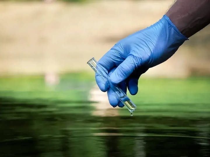 tomnf321's tweet image. Water pollution impacts health and ecosystems. Learn the main sources and simple ways to help protect clean water.

Read more:
aquatruwater.com/blogs/general/…

#WaterPollution #CleanWater #Sustainability #EcoFriendly #Environment
