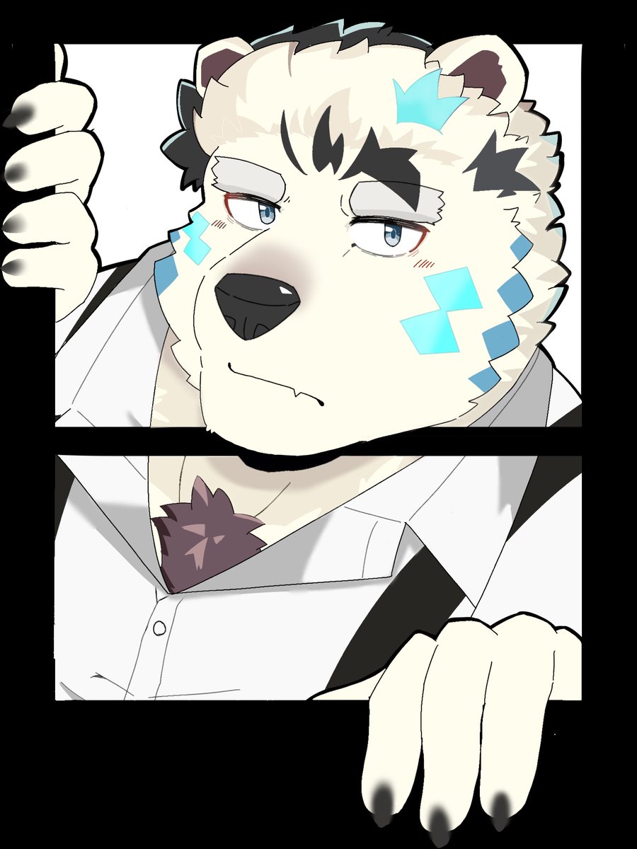 とき🐻‍❄️ tweet media