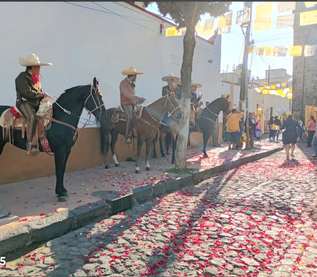 iztacalconews's tweet photo. Buen día...#NuestraGente #NuestrasTradiciones
Foto de las celebraciones en el #Barrio #SantaCruz.
Tomada de la cuenta de Facebook "SANTA CRUZ iztacalco festividas"
https://t.co/byHzYKjbYb https://t.co/kFfzQfAb6i