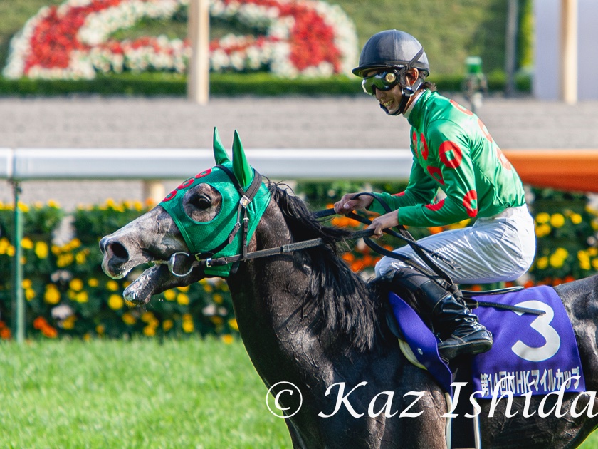 【期限切れ単勝馬券】　NHKマイルカップ 2009 全出走馬　ジョーカプチーノ ジョーカプチーノ (2009年NHKマイルカップ) Jo Cappuccino,the 2009