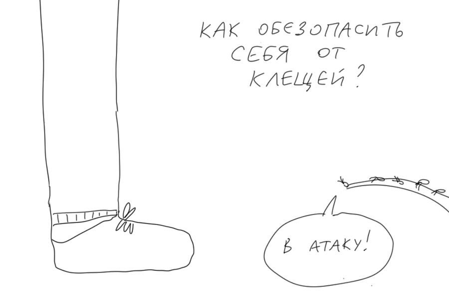 userdie's tweet photo. Клещи уже проснулись! Сохрани советы, как избежать их укуса https://t.co/3qWvgghfiQ