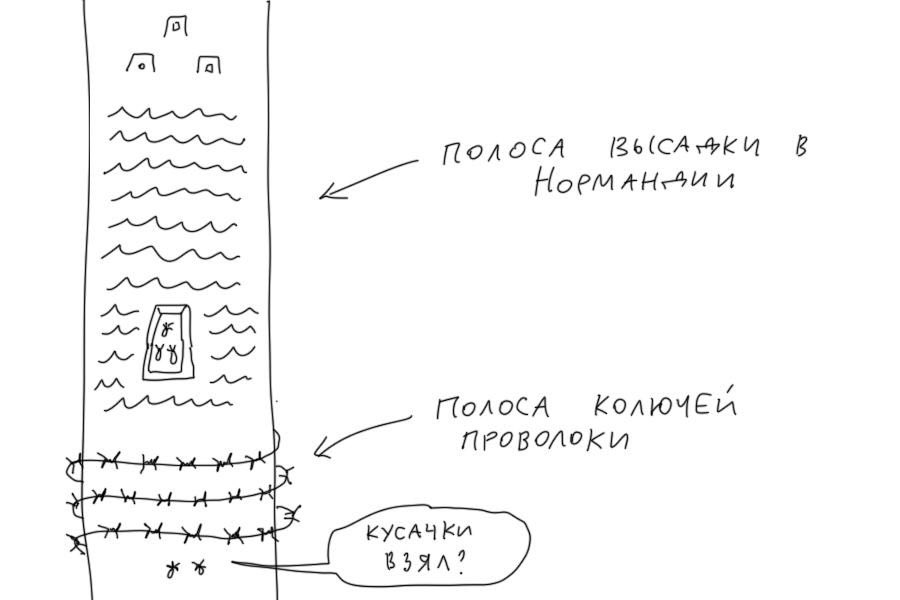 Клещи уже проснулись! Сохрани советы, как избежать их укуса