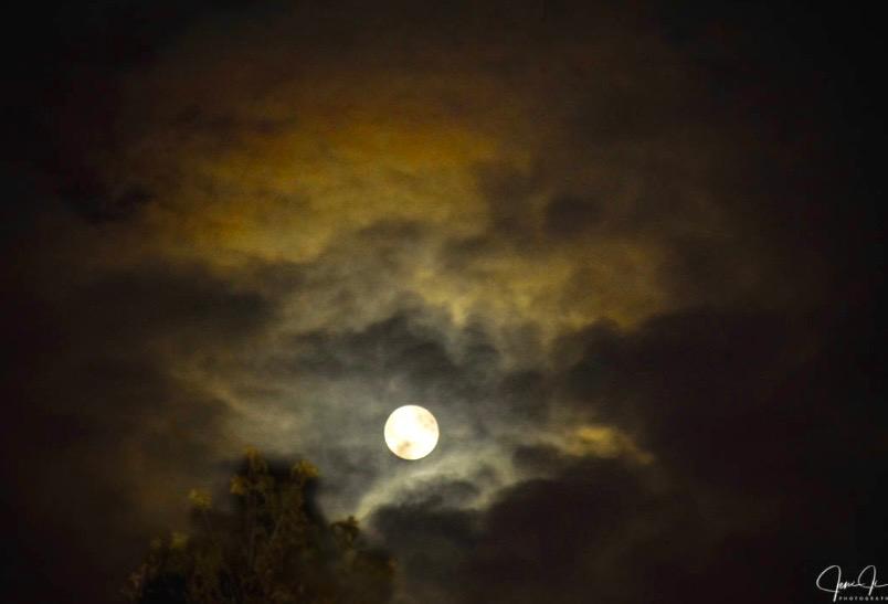 PhotographyJeni's tweet photo. Full Moon May 1 #FULL_MOON https://t.co/39yLX35kIE