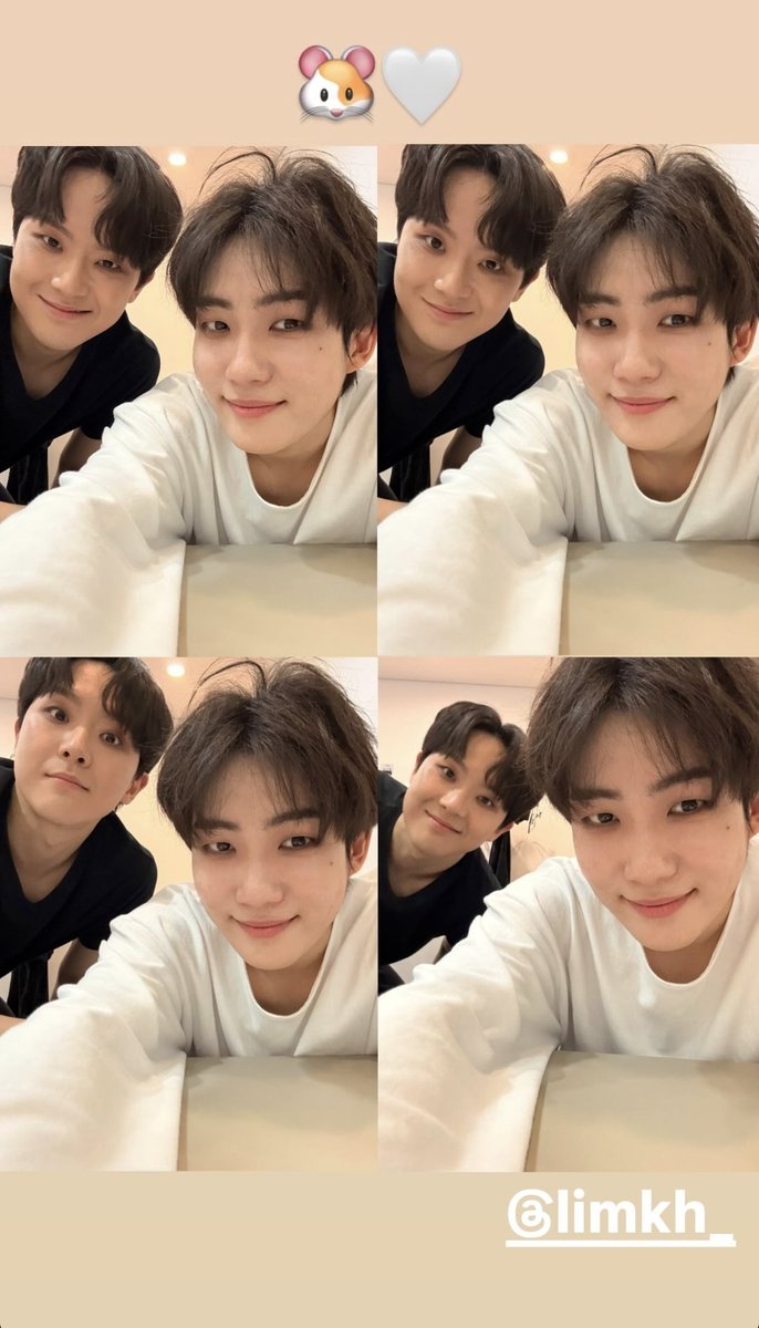 인간 다롱이 tweet media