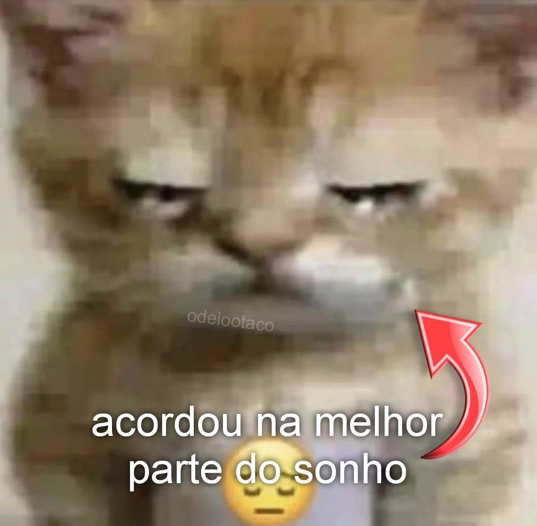Shitpost só que de verdade tweet media