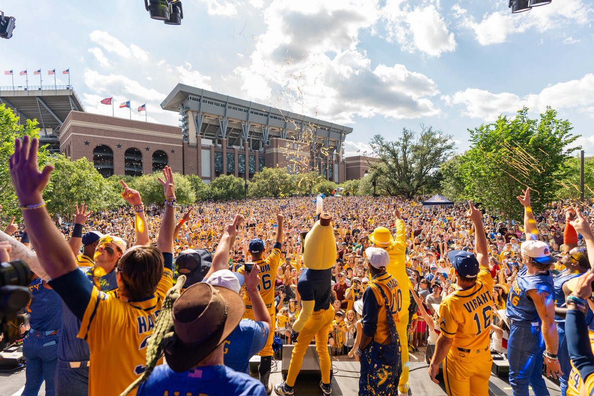 Savannah Bananas tweet media