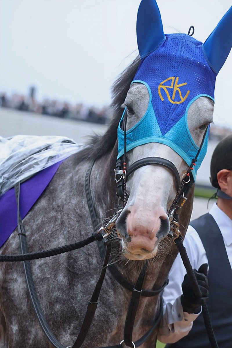 なぎた🐴 tweet media