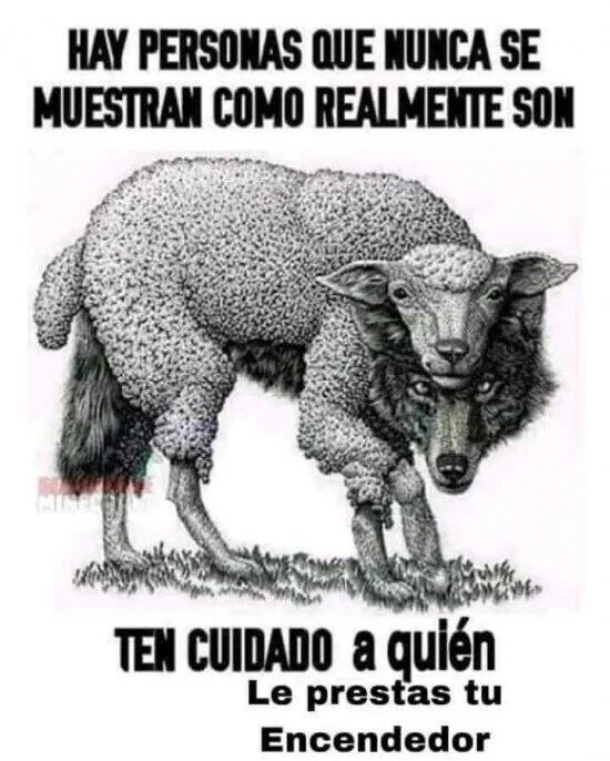 Chema Hache tweet media