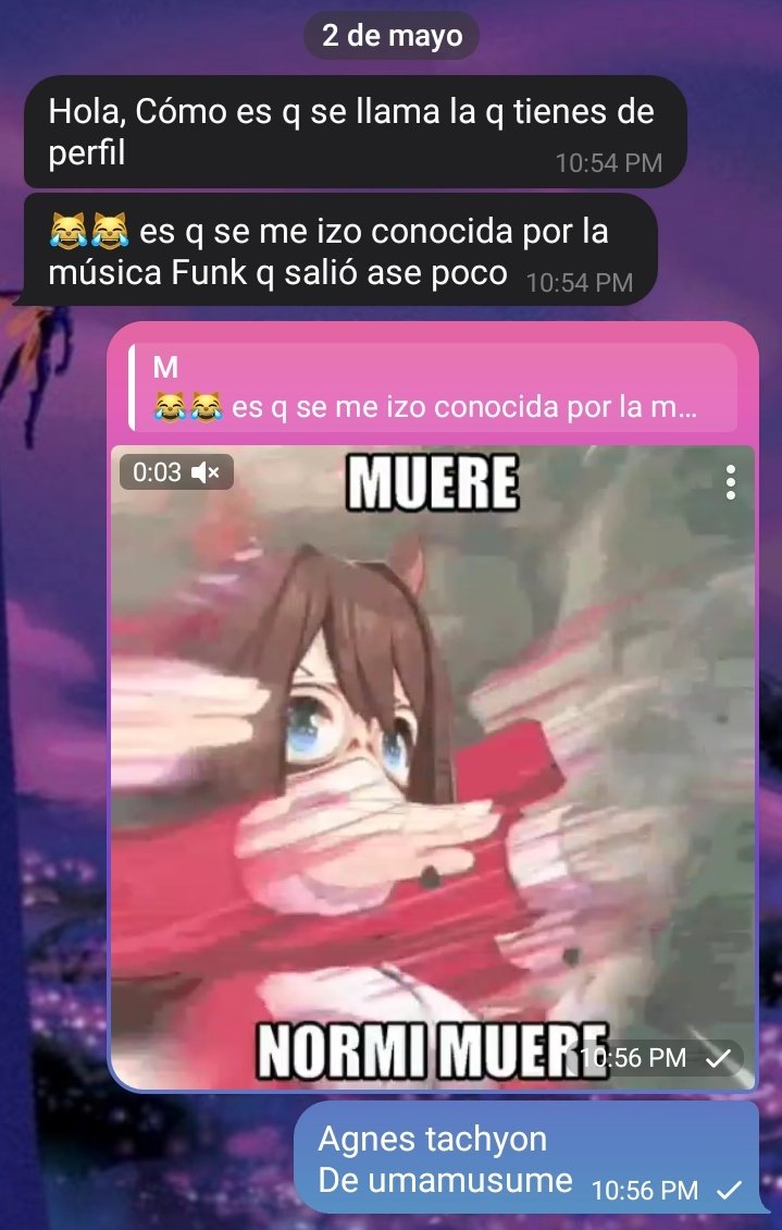 Pokas-Bun 🇻🇪🐴 tweet media
