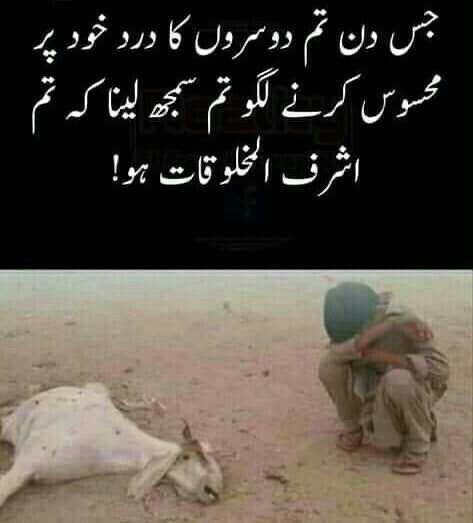 Isma Mehra tweet media