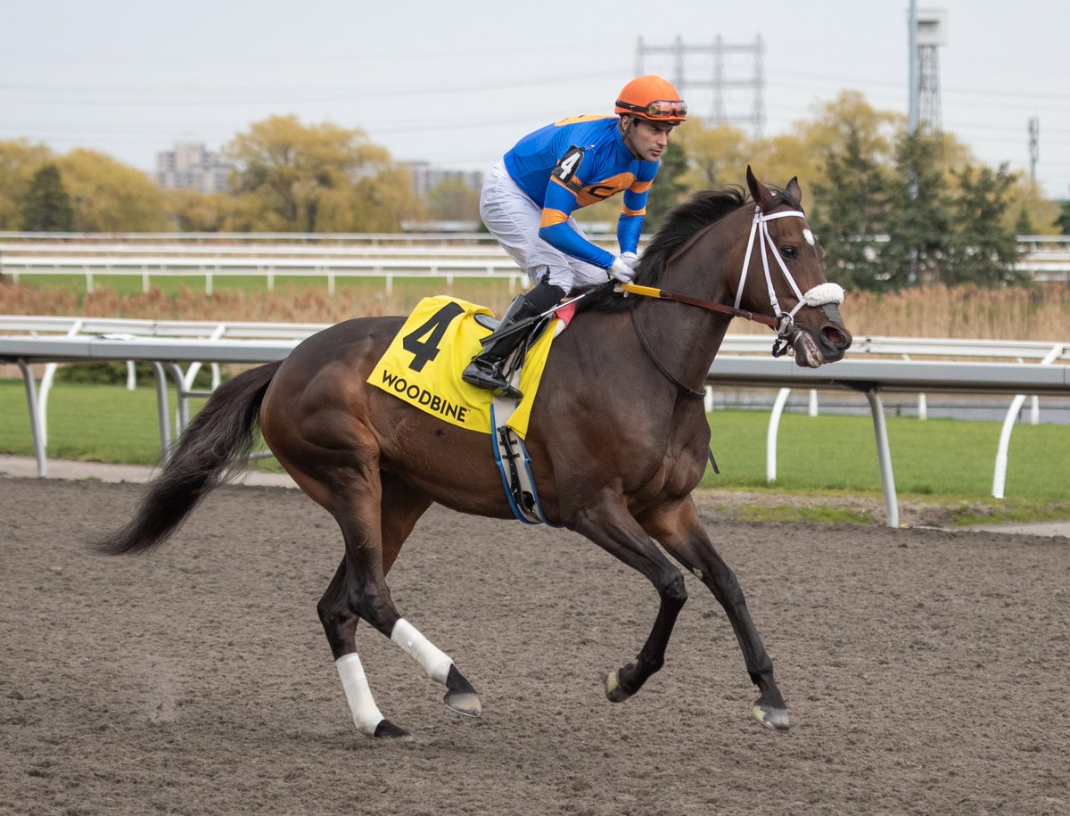 JHall8888's tweet photo. REAGAN'S FLAME takes the Grade 3 Whimsical Stakes yesterday at Woodbine, and proves you don't have to break the bank to play at the top.  We purchased her dam for just $3,000 before sending her to Flameaway.  

Yesterday's win takes Reagan's Flame's career earnings to $502,351.   https://t.co/mlQDVqSVAF   
@darbydanfarm @WoodbineTB @OBSSales @BucklandSales