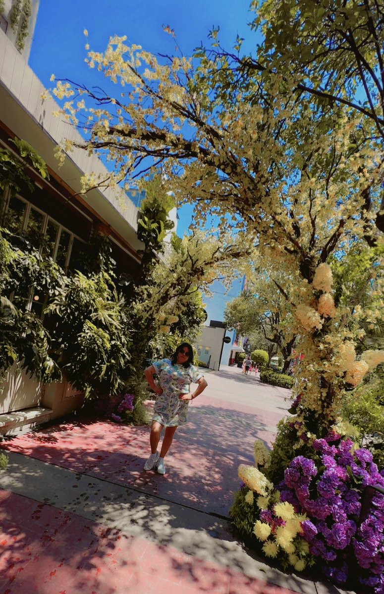ZereEstrada's tweet photo. Amamos el festival de las flores 🌷 https://t.co/kvyDdS3pgo