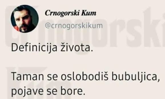 Suncokret tweet media