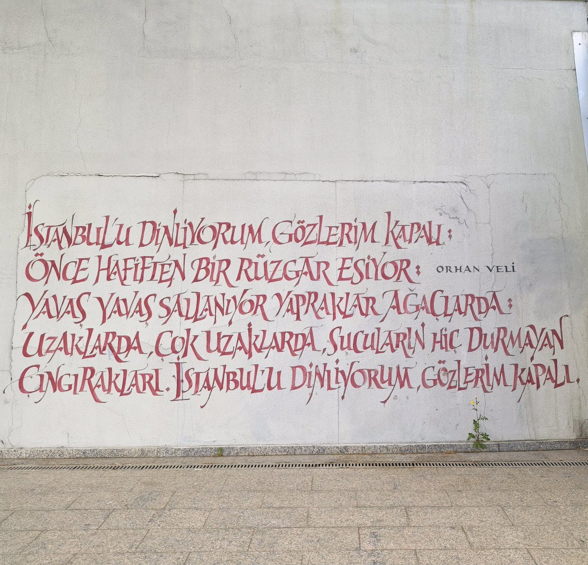 Ozan Ay tweet media