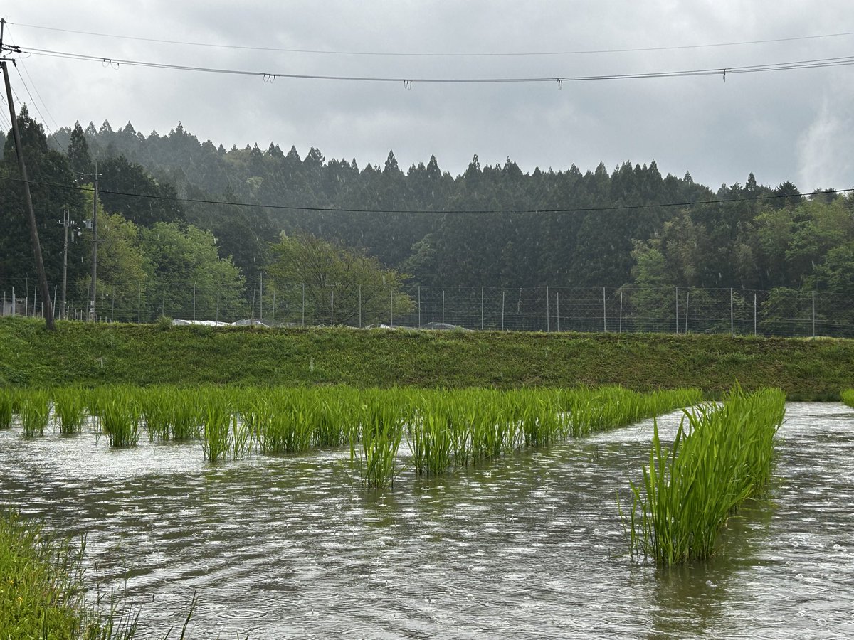 ドボンはしなかったけど、
めっちゃ雨降ってきました。

でも、やりたかったこと全部できました😚