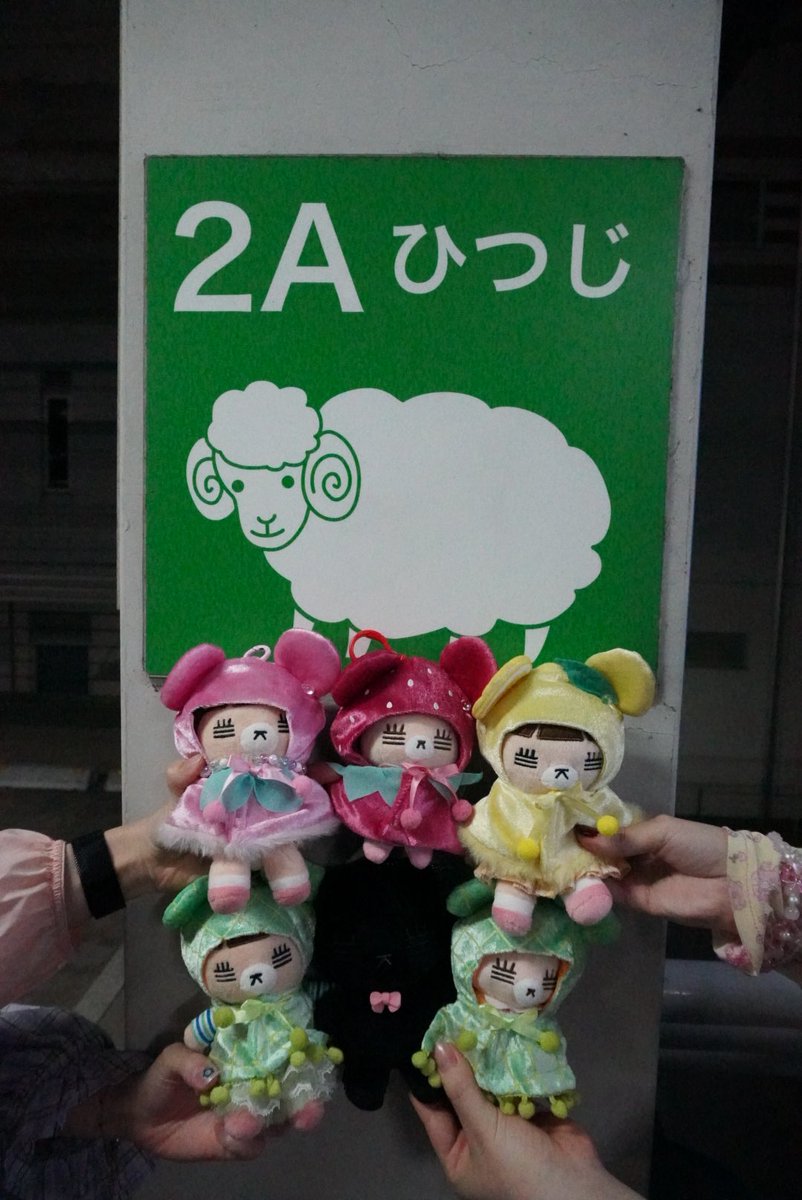 まりえ🐱 tweet media