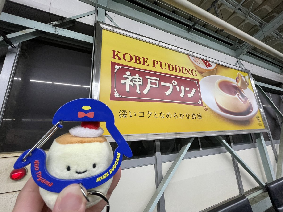 🍮トッシー🍮　🌈 tweet media