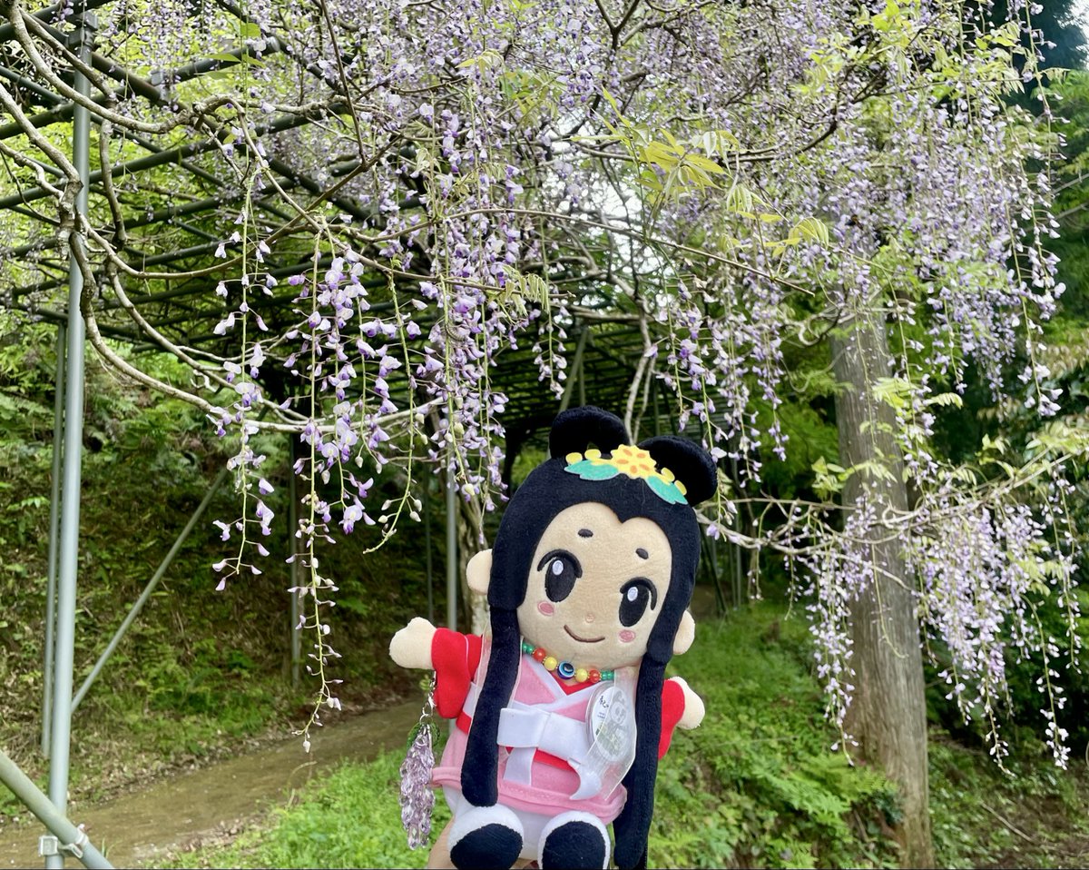 みーやちゃん tweet media