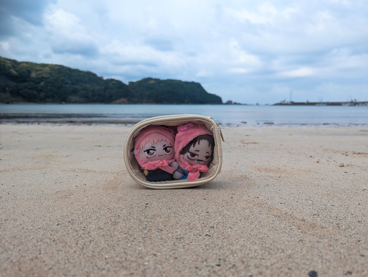 ピ◯ミン好き tweet media